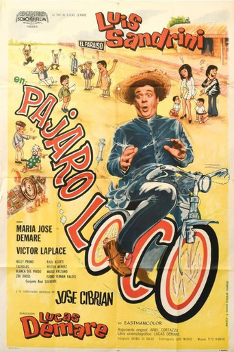 Pájaro loco movie poster