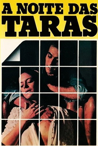 The Night at the Terrace movie poster