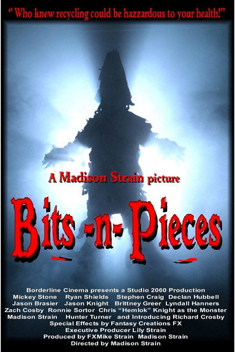 Bits-n-Pieces movie poster