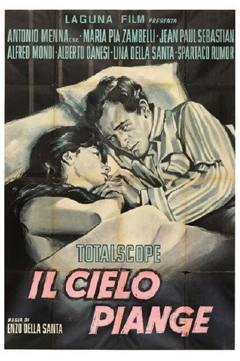 The Sky Cries movie poster