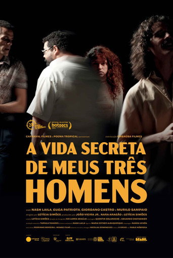 The Secret Lives of My Three Men movie poster