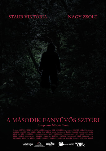 Sasquatch Story No.2 movie poster