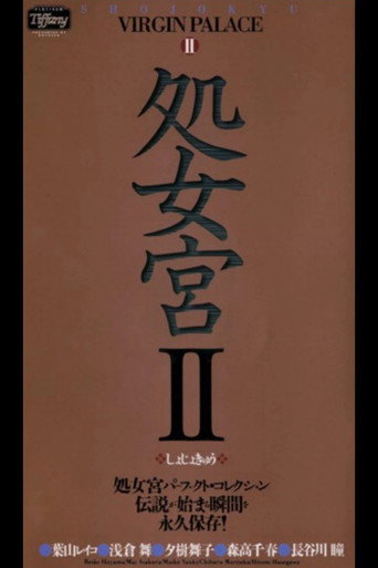 Virgin Palace 2 movie poster