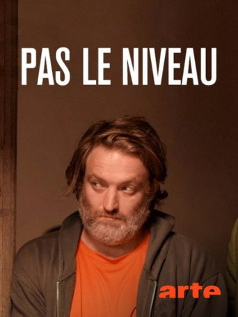 Pas le niveau movie poster