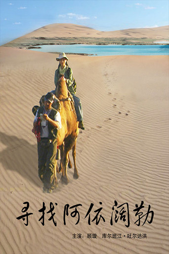 寻找阿依阔勒 movie poster