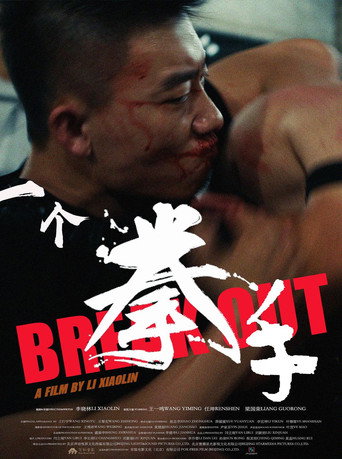 一个拳手 movie poster