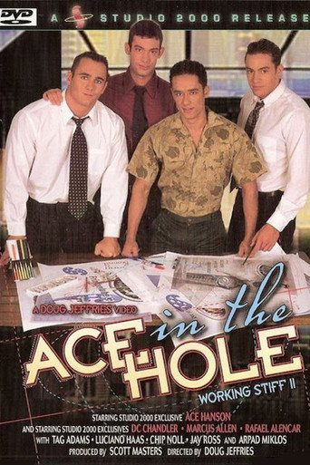 Ace in the Hole: Working Stiff 2 movie poster