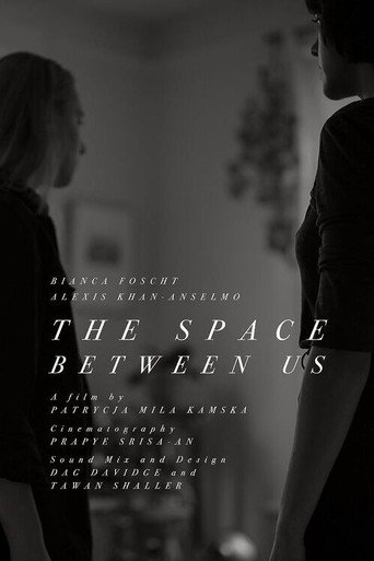 The Space Between Us movie poster