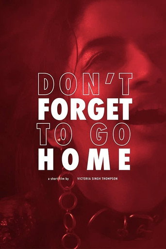 Don't Forget to Go Home movie poster