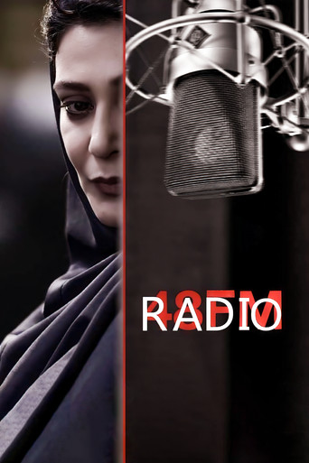 48 FM movie poster