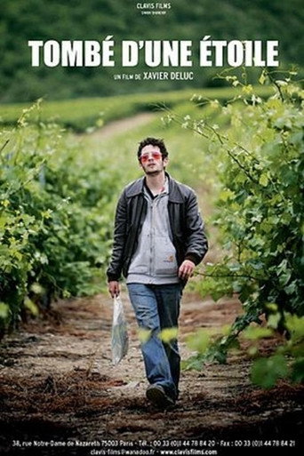 Tombé d'une étoile movie poster
