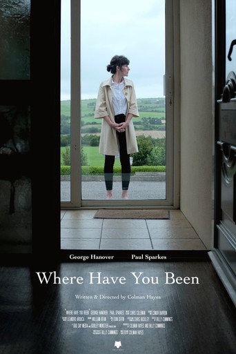 Where Have You Been movie poster