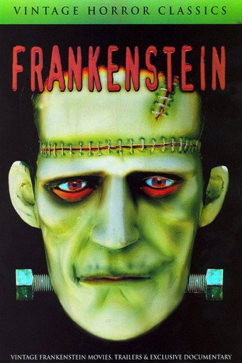 Mary Shelley's Frankenstein - A Documentary movie poster