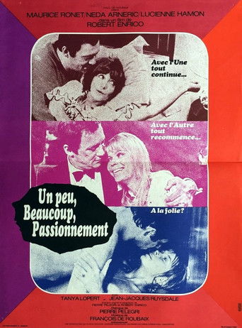 A Little, a Lot, Passionately movie poster