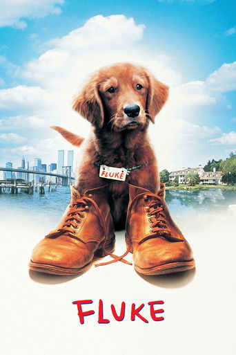 Fluke movie poster