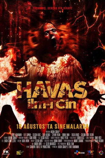 Havas İlm-i Cin movie poster