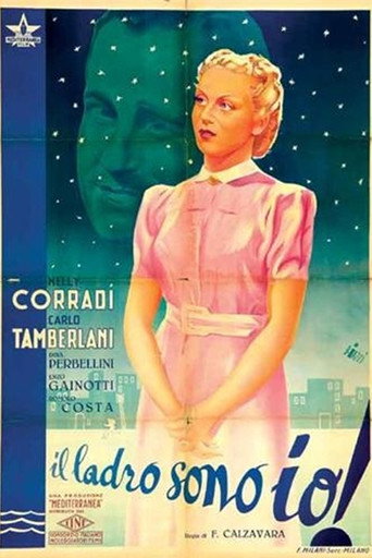 Il ladro sono io! movie poster