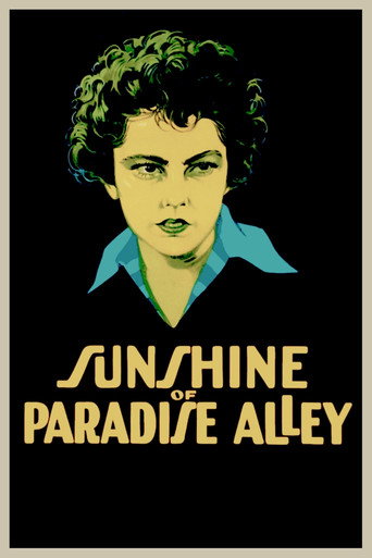 Sunshine of Paradise Alley movie poster