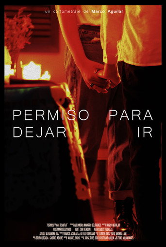 Permiso para dejar ir movie poster