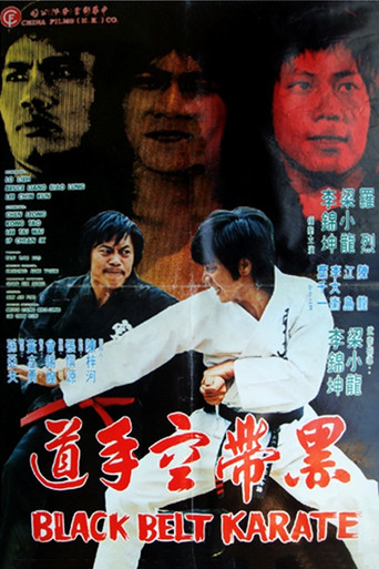 Black Belt Karate movie poster