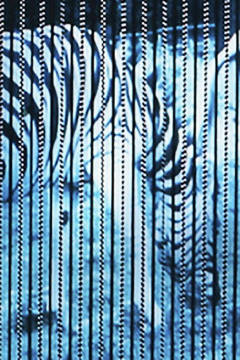 Zebras movie poster
