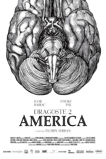 Love 2. America movie poster