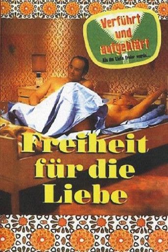 Freedom to Love movie poster