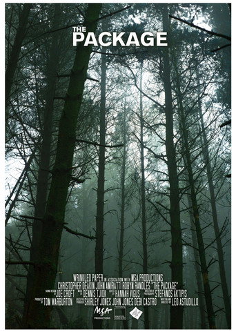 The Package movie poster