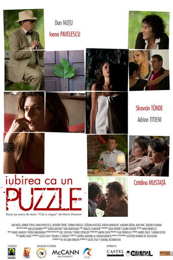 Puzzle movie poster