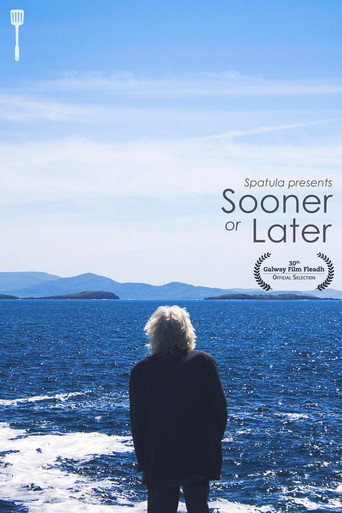 Sooner or Later movie poster