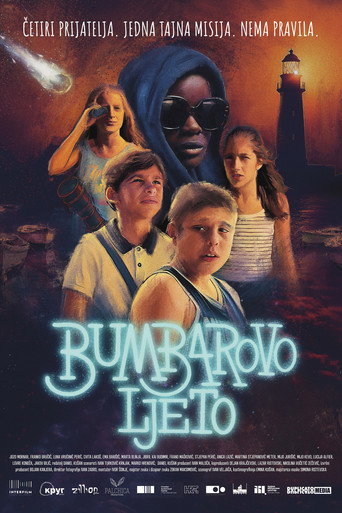 Bumblebee's Summer movie poster