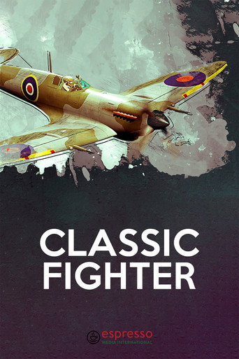 Classic Fighter movie poster