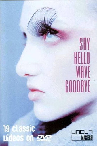 Say Hello, Wave Goodbye movie poster