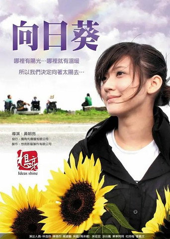 Sun Flowers movie poster