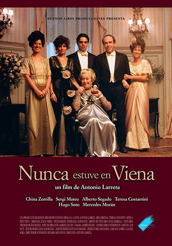 Nunca estuve en Viena movie poster