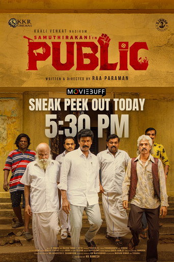 Public movie poster