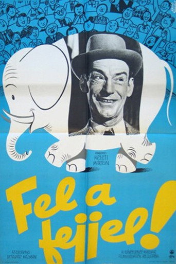 Keep Your Chin Up! movie poster