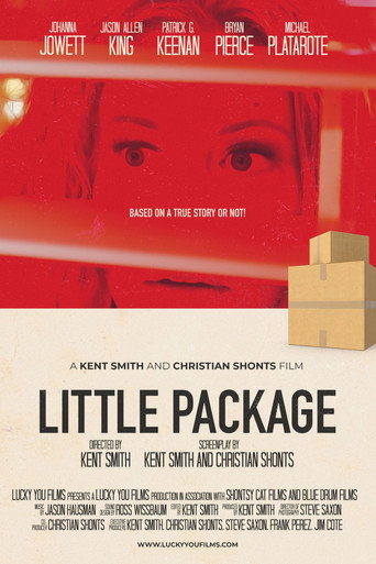 Little Package movie poster