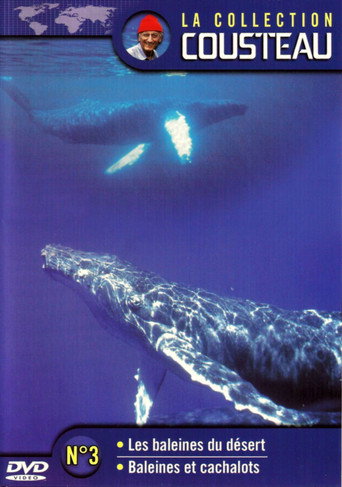 The Cousteau Collection N°3-1 | Desert Whales movie poster