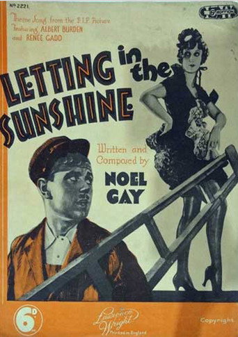 Letting in the Sunshine movie poster