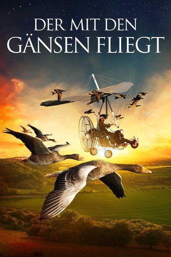 The Secret Routes of Migratory Birds movie poster