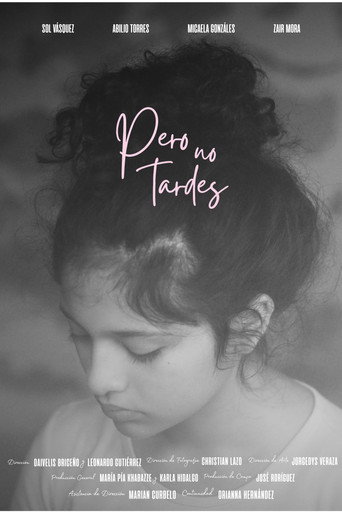 Pero no tardes movie poster