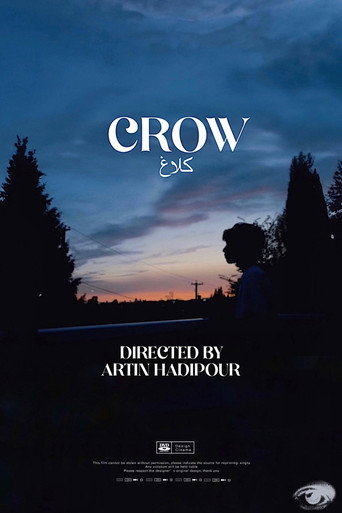 Crow movie poster