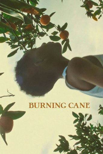 Burning Cane movie poster