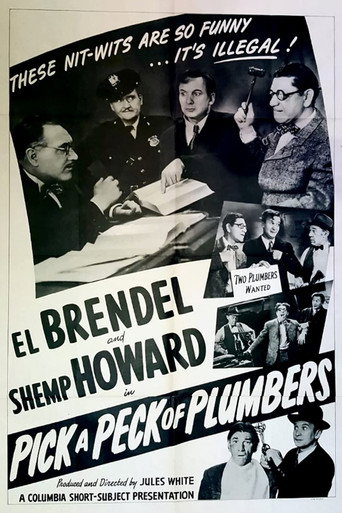 Pick a Peck of Plumbers movie poster