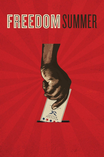 Freedom Summer movie poster