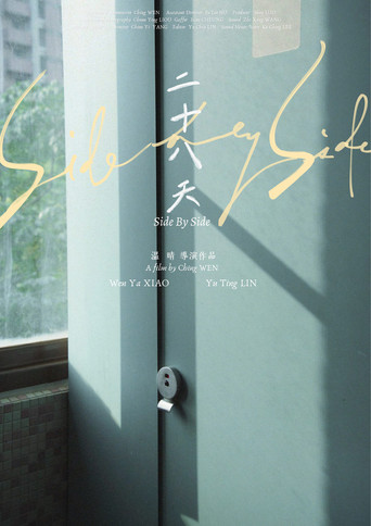 Side by Side movie poster