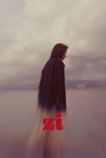 Zi movie poster