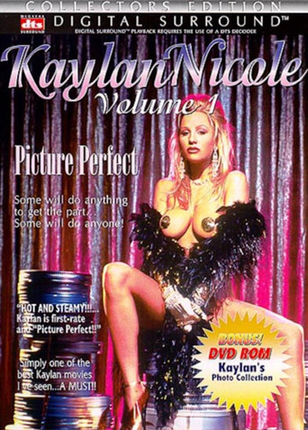 Picture Perfect movie poster
