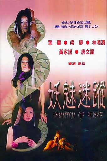 Phantom of Snake movie poster